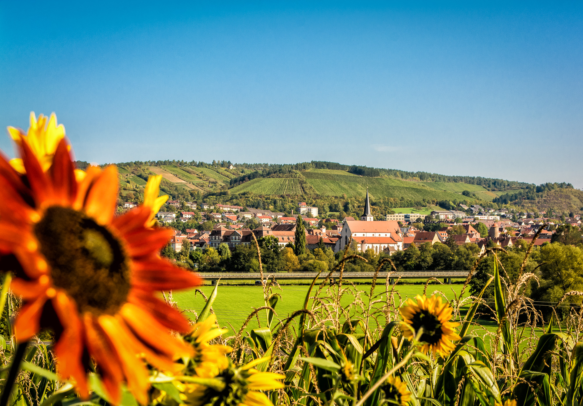 Landschaften | Landscape